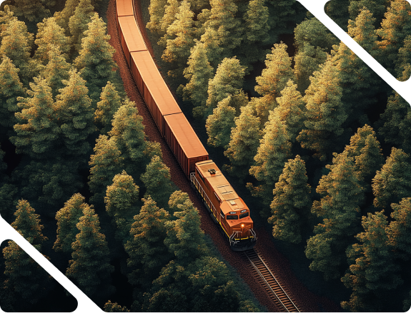 Aerial view of train through forest