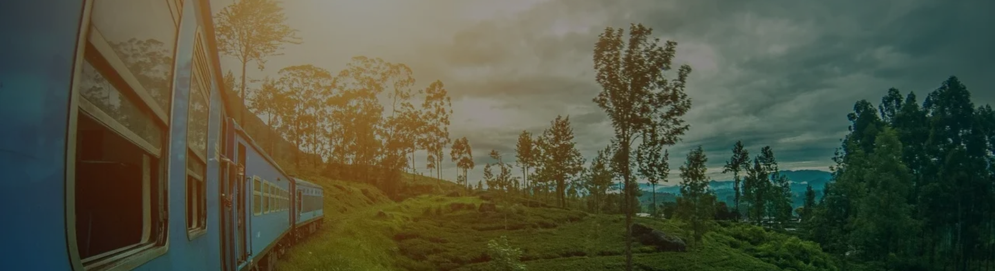 Blog Banner