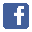 Social icon 4